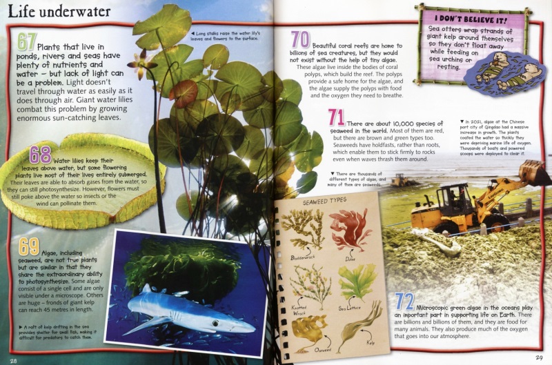 100 Facts Plant Life # 9781789894868 # 3