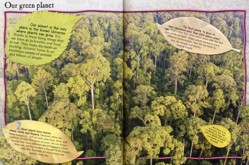 100 Facts Plant Life # 9781789894868 # 次图1