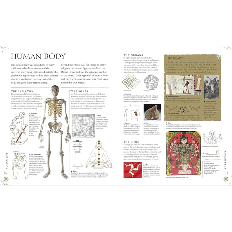 911aDLimK7L._SL1500_