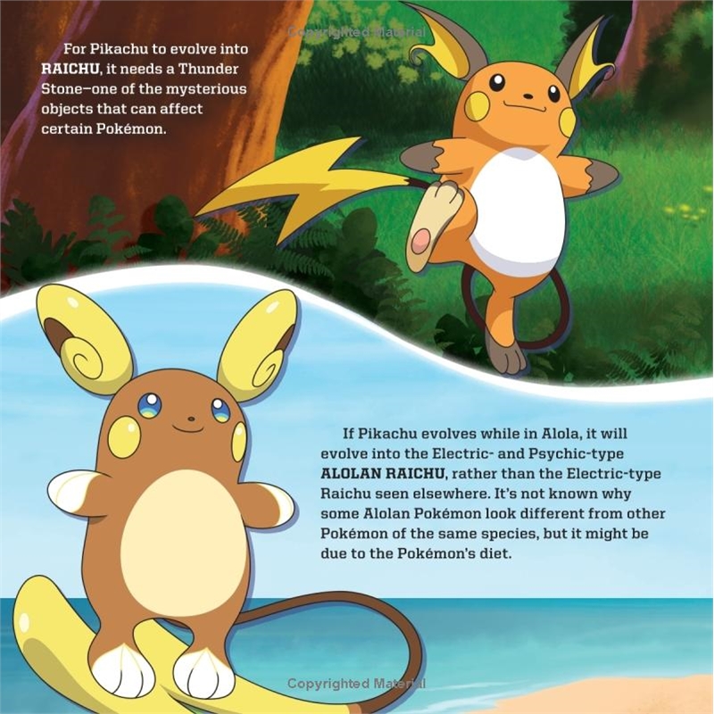 1984848305.01.S007.JUMBOXXX