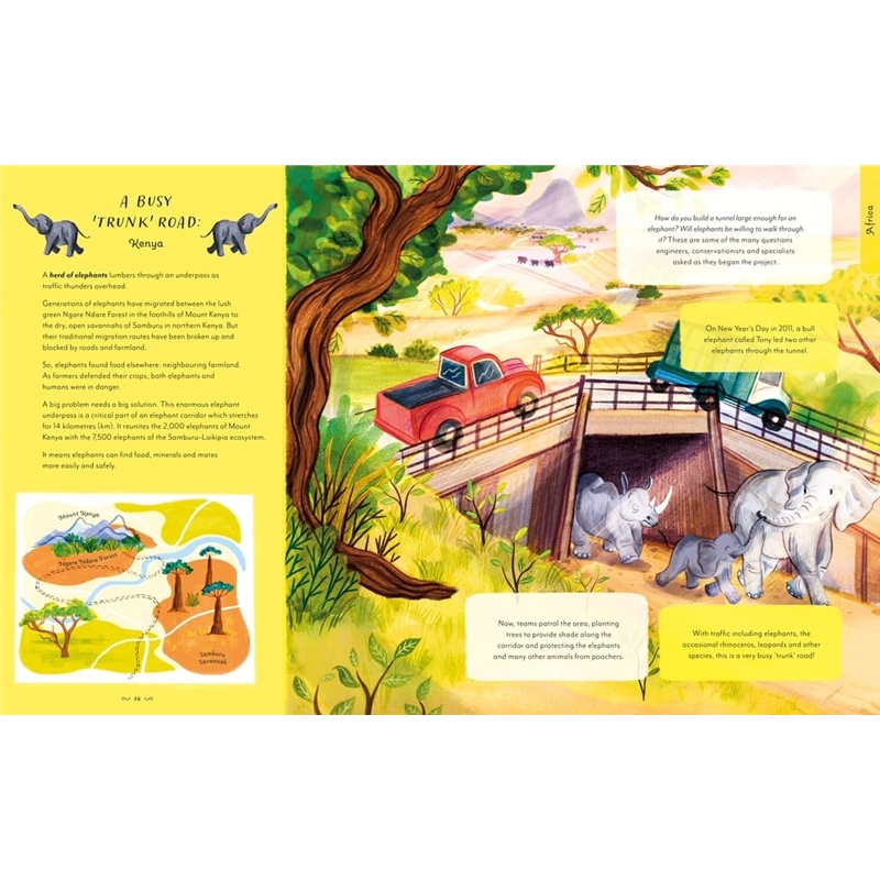 61Lx+7p4xSL._SL1020_