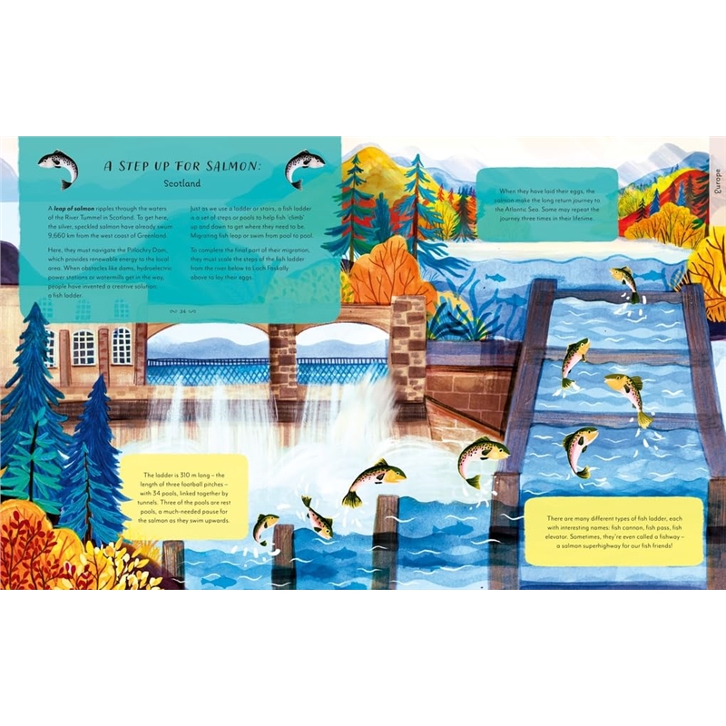 715gXa7lMqL._SL1020_