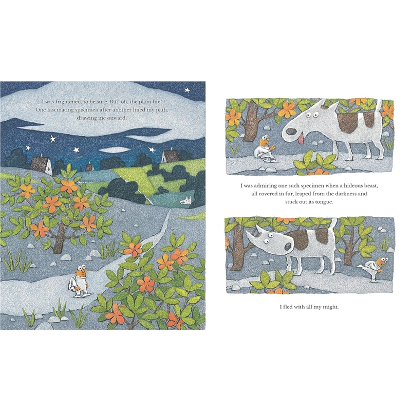 A1cTvbfrwjL._SL1500_