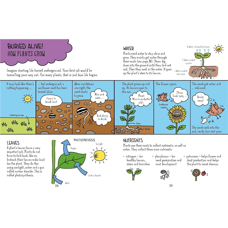 714z7ZR-rHL._SL1500_