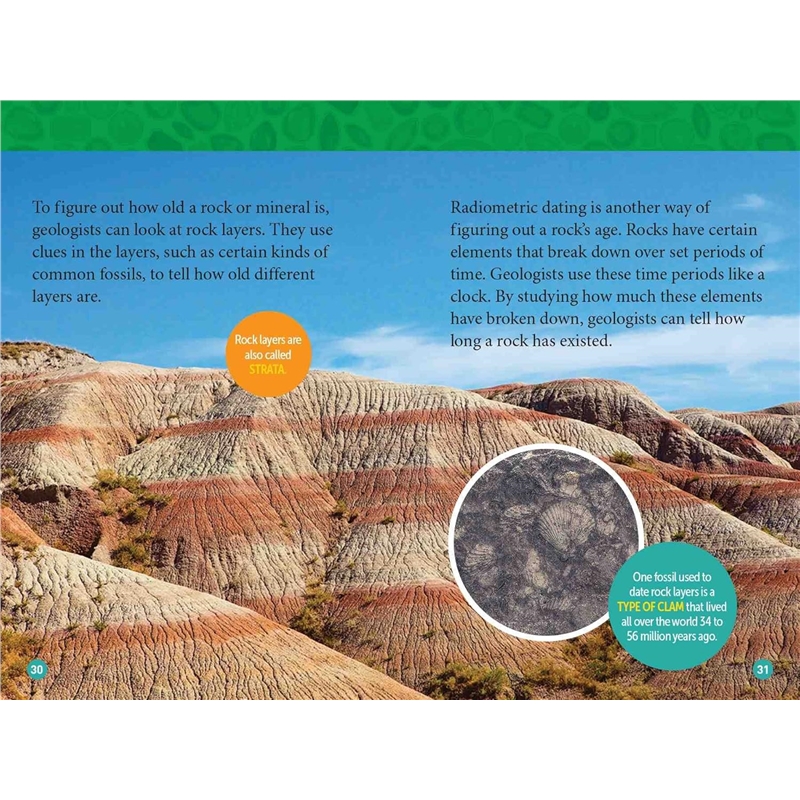 81+KGFYjtpL._SL1500_