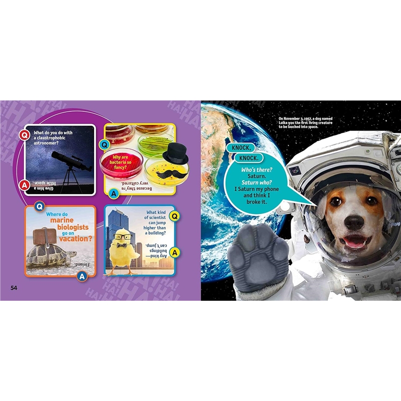 81UeDORw5ZL._SL1500_