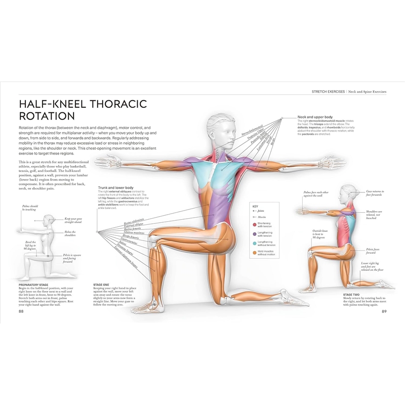 81aIvjfBPYL._SL1500_