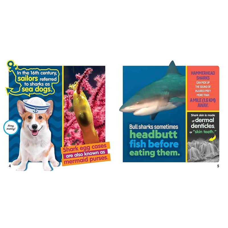 81hNKQRsCNL._SL1500_