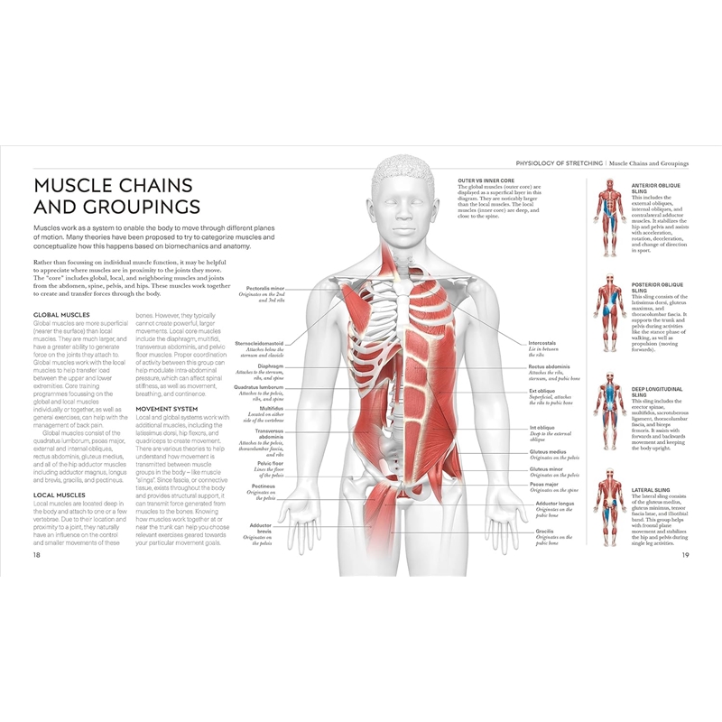 916kHRnm8ZL._SL1500_