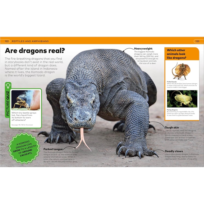 91KpZvkng9L._SL1500_