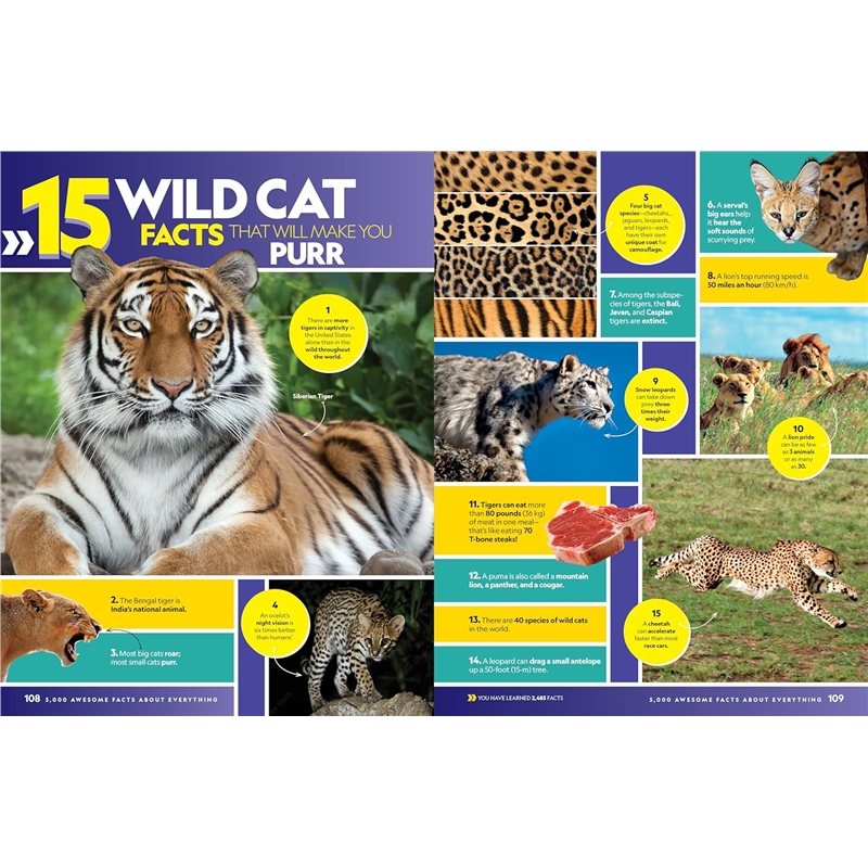 91Qb6oLeVqL._SL1500_