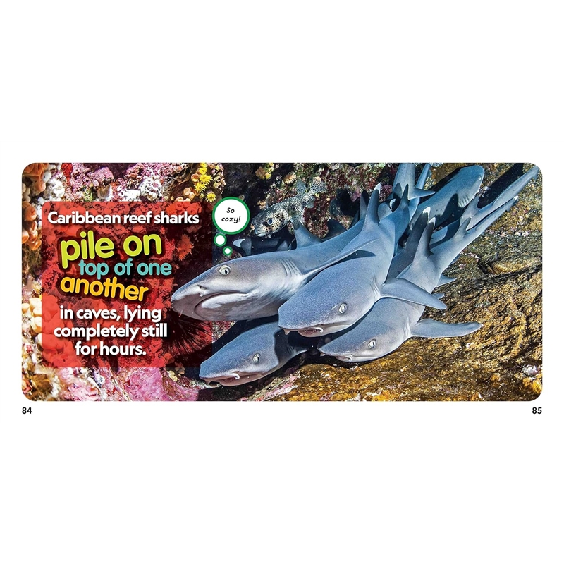 91Uf+JNCvUL._SL1500_