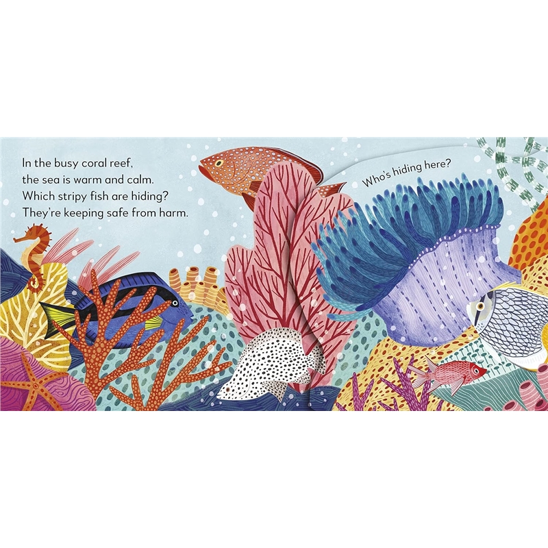 91miufP0xpL._SL1500_