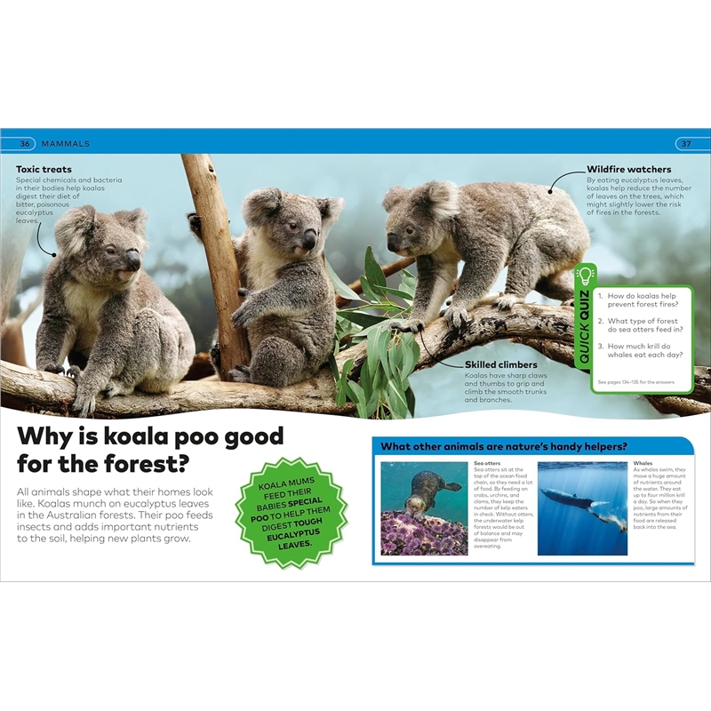 91sNVd8QRFL._SL1500_