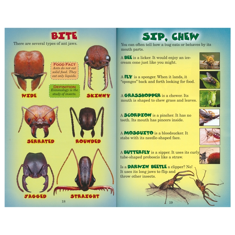 Who Would Win – Wild Warriors（4 Books in 1） # 9781339011066 # 次图3