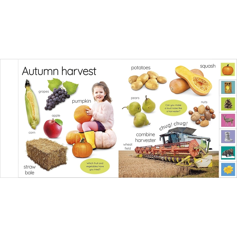 81RkNezk1uL._SL1500_