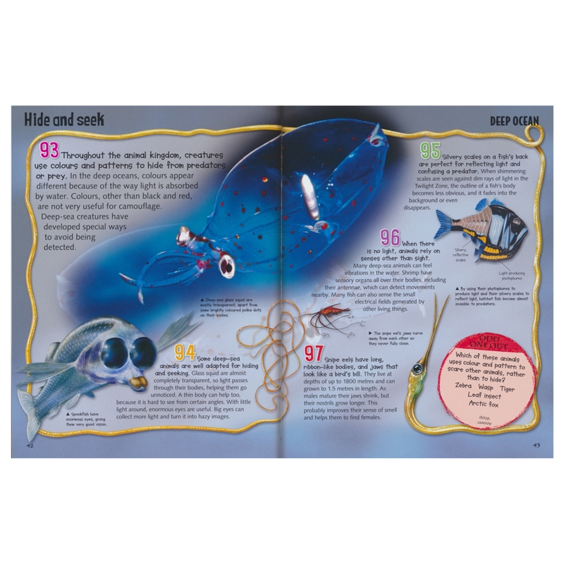 Wild About Oceans # 9781789891638 # 实拍6