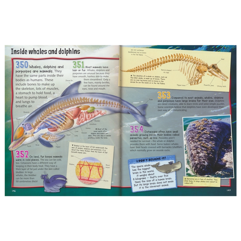 Wild About Oceans # 9781789891638 # 实拍7