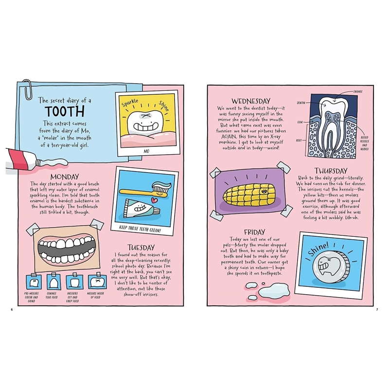 81kfTXcNTzL._SL1500_