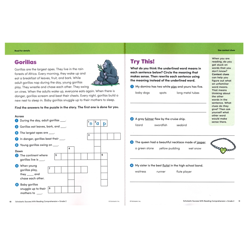 Success With Reading Comprehension – Grade 2 # 9781338798593 # 次图3