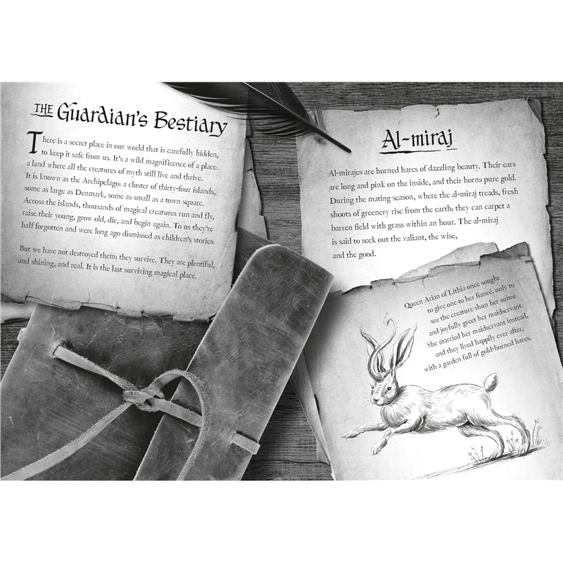 image_4