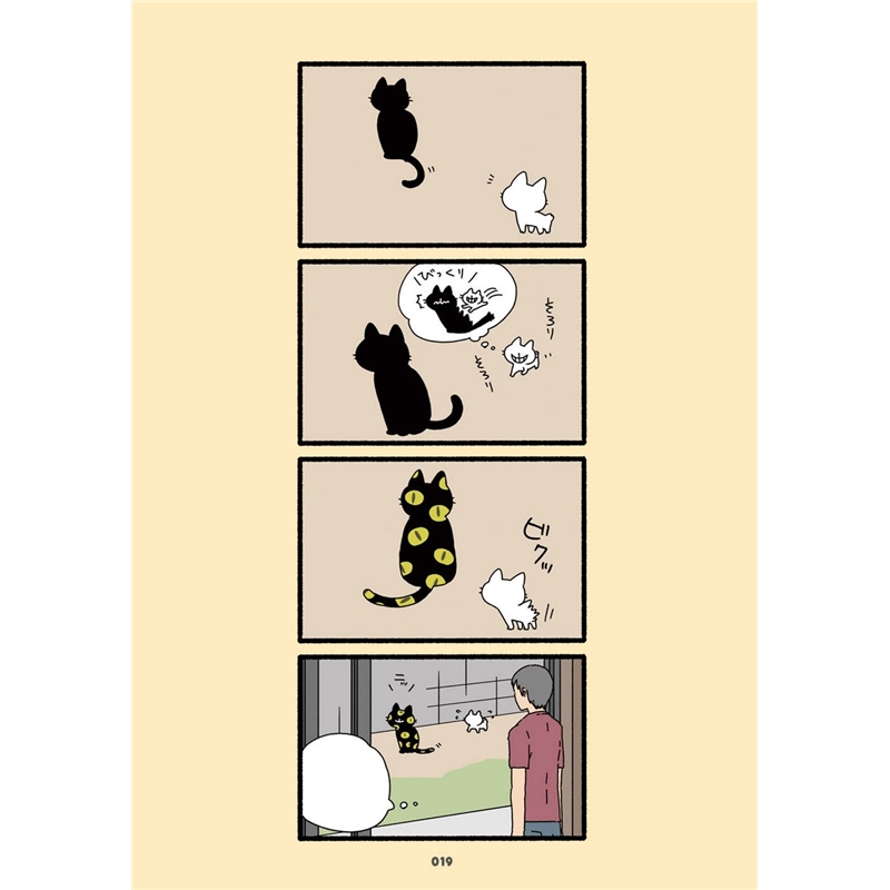 image_3