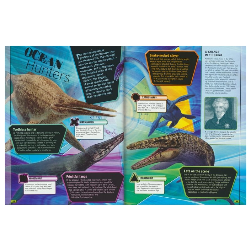B160 – The Animal Book # 9781789890228 # 实拍3