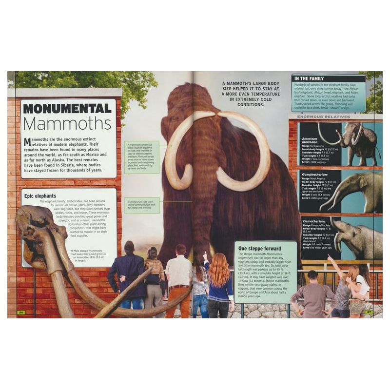 B160 – The Animal Book # 9781789890228 # 实拍4