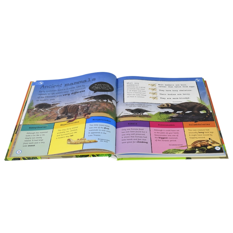 My Encyclopedia of Very Important Dinosaurs # 9780241411803 # 实拍2
