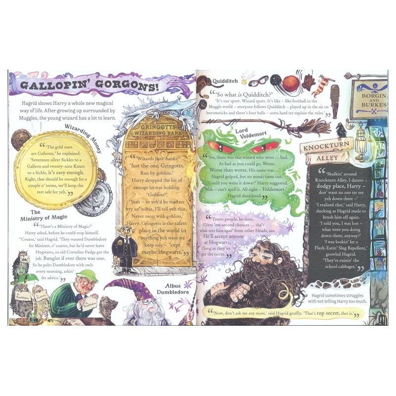 Pocket Potter – Hagrid # 9781526688699 # 次图4
