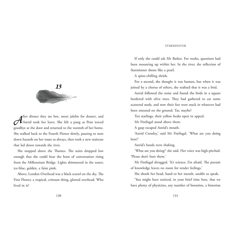 image_4