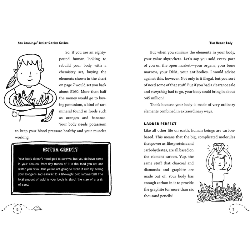 image_4
